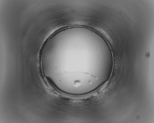 X0000090901031200708201713