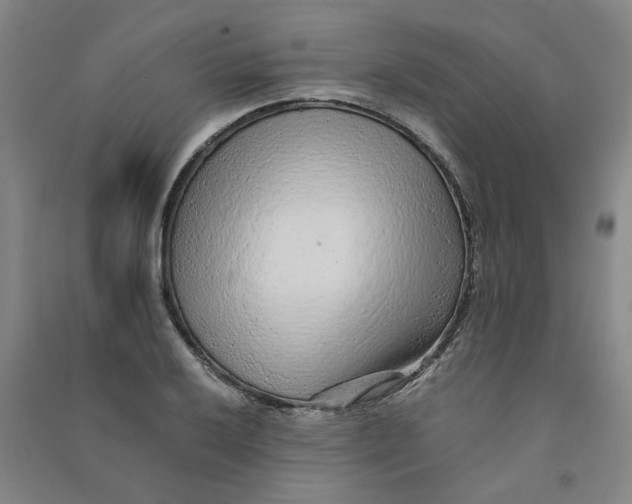 X0000090901032200708201713