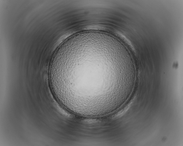 X0000090901033200708201713