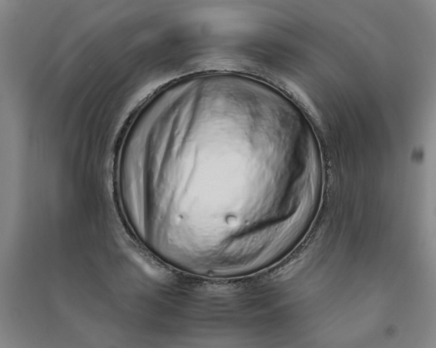 X0000090901035200708201713