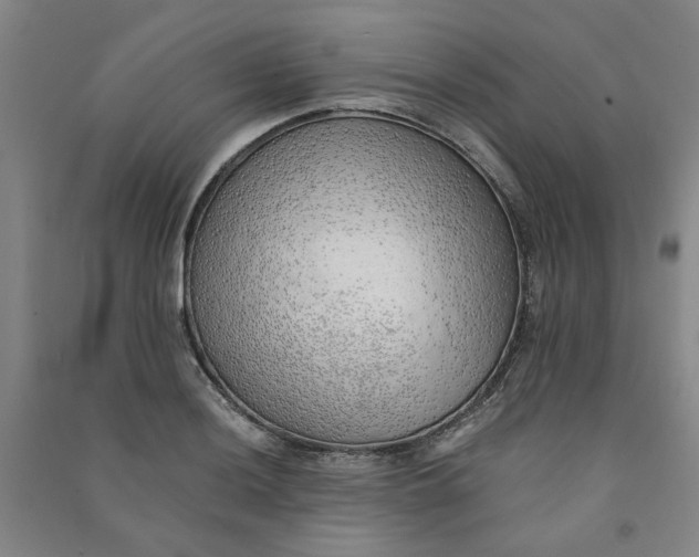 X0000090901036200708201713