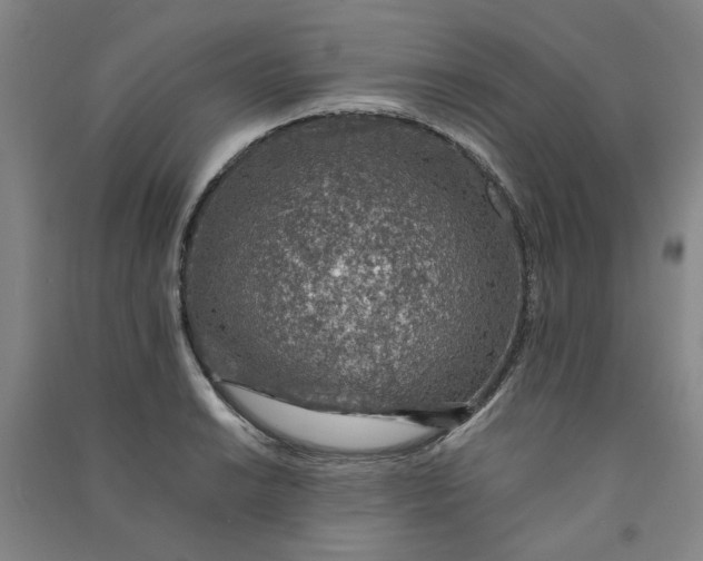 X0000090901038200708201713