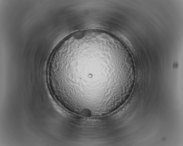 X0000090901039200708201713