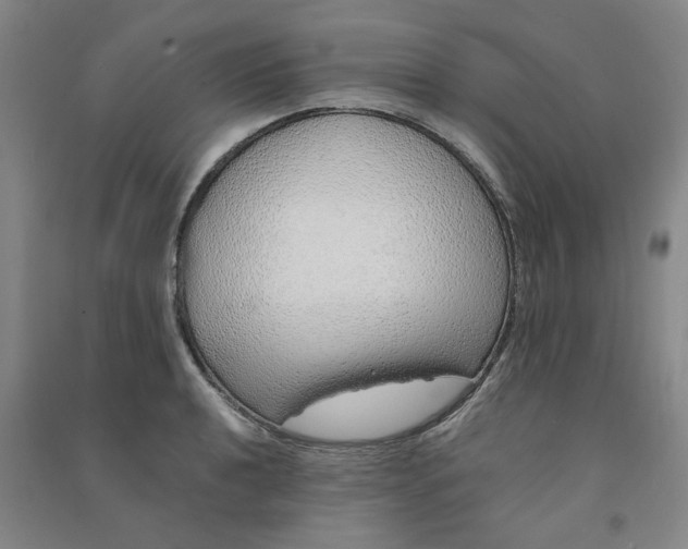 X0000090901040200708201713