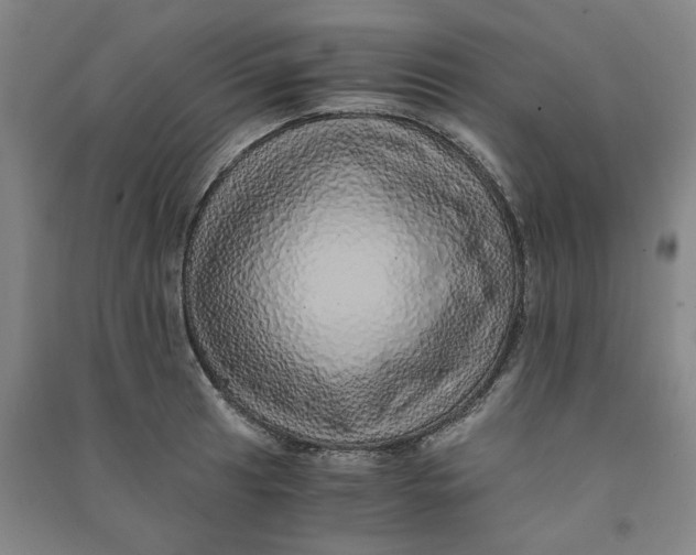 X0000090901041200708201713