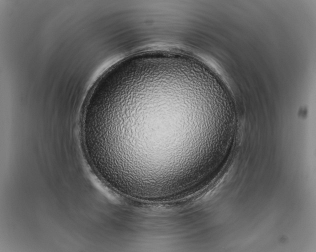 X0000090901042200708201713