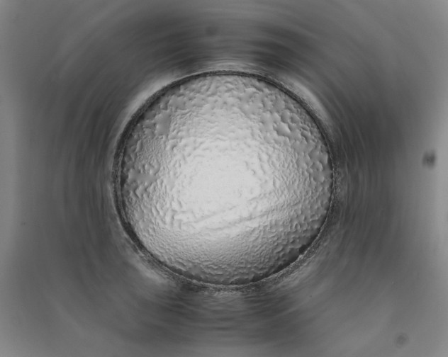 X0000090901043200708201713