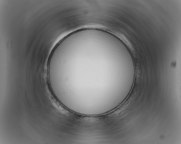 X0000090901044200708201713