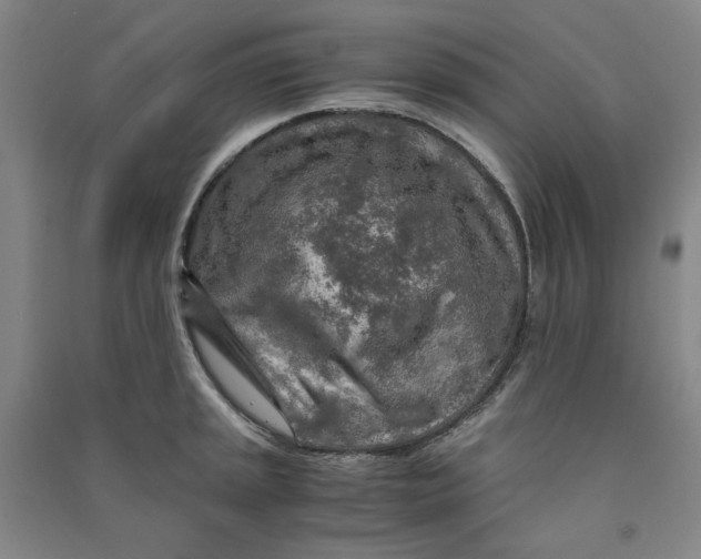 X0000090901045200708201713