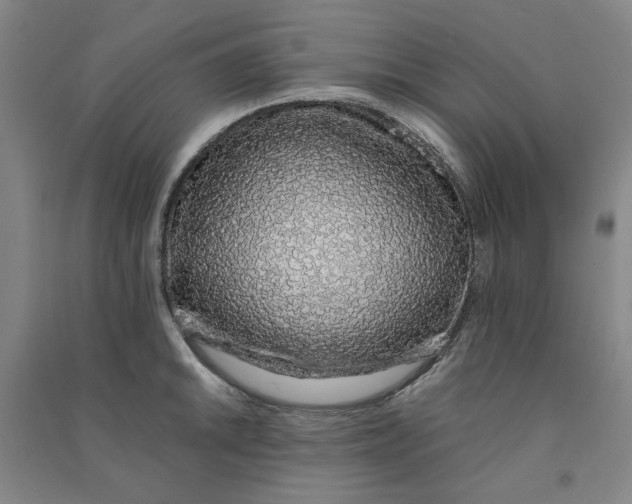 X0000090901046200708201713