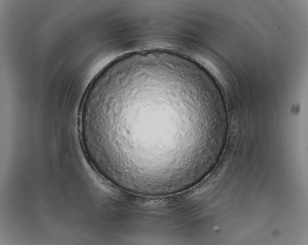 X0000090901047200708201713