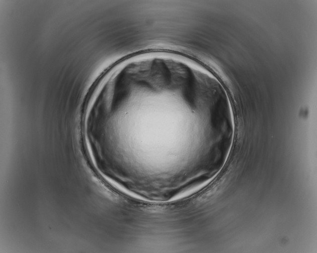 X0000090901048200708201713