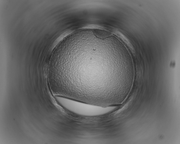 X0000090901049200708201713