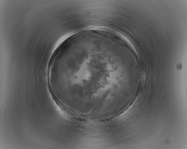 X0000090901050200708201713