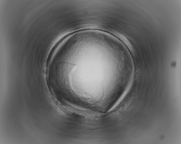 X0000090901051200708201713