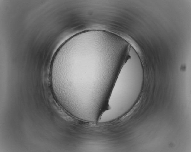 X0000090901052200708201713