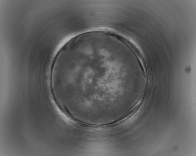 X0000090901054200708201713