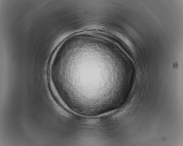 X0000090901055200708201713