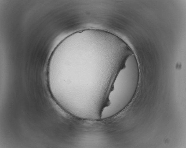 X0000090901056200708201713