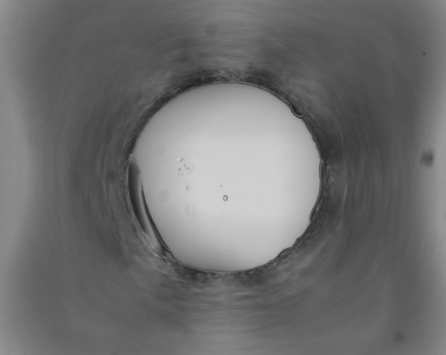 X0000090901057200708201713