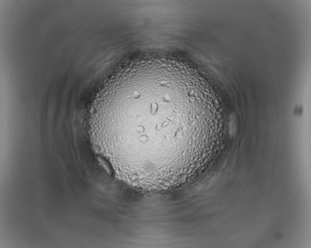 X0000090901059200708201713