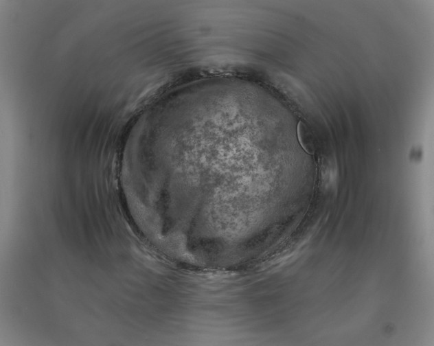 X0000090901060200708201713