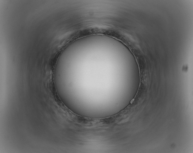 X0000090901061200708201713