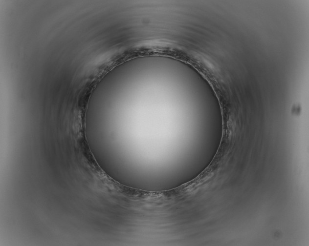 X0000090901062200708201713