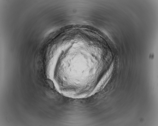 X0000090901063200708201713