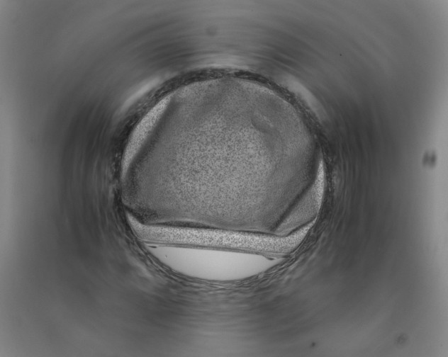 X0000090901064200708201713