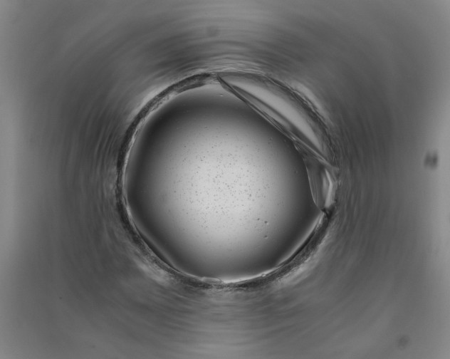 X0000090901065200708201713