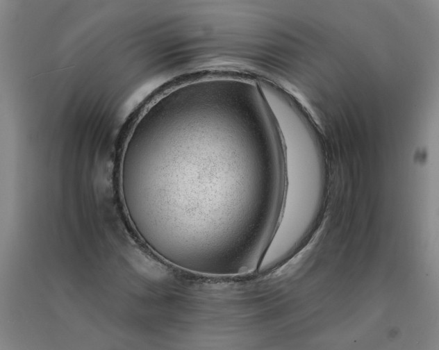 X0000090901066200708201713