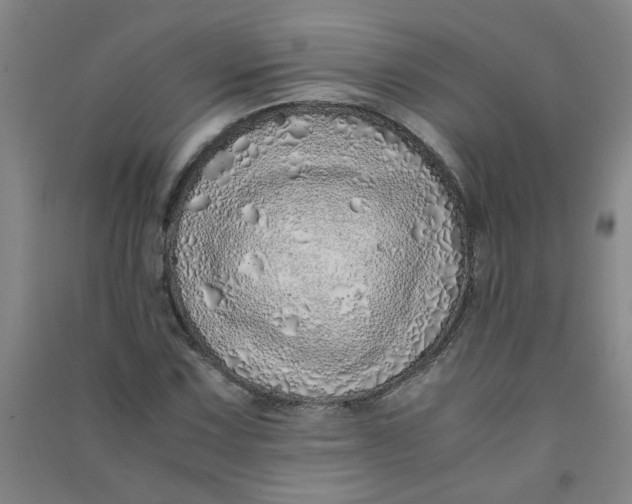 X0000090901067200708201713