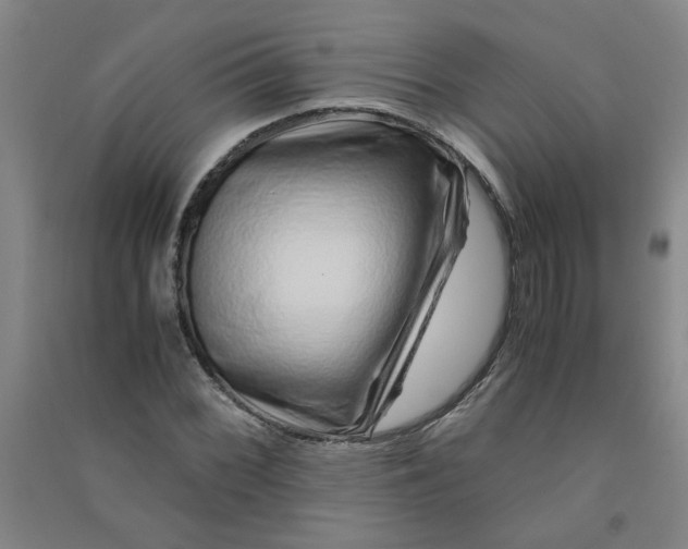 X0000090901068200708201713