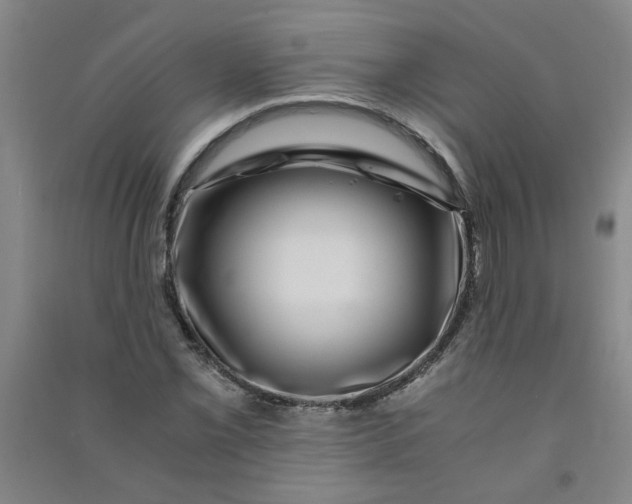 X0000090901069200708201713