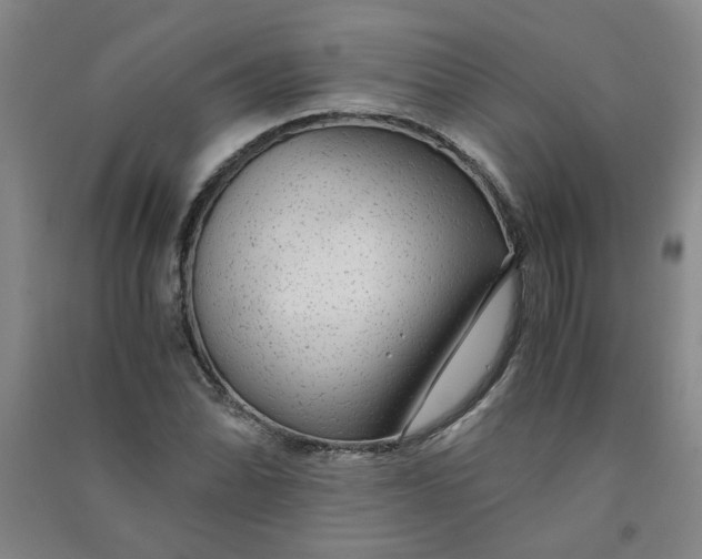 X0000090901070200708201713