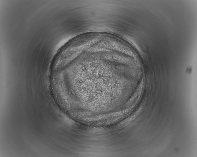 X0000090901071200708201713