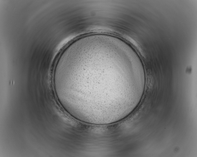 X0000090901074200708201713