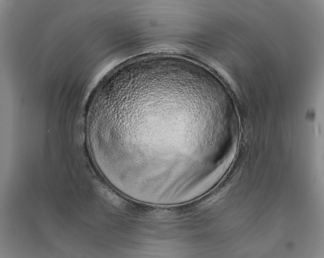 X0000090901075200708201713