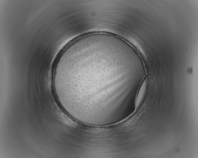 X0000090901076200708201712