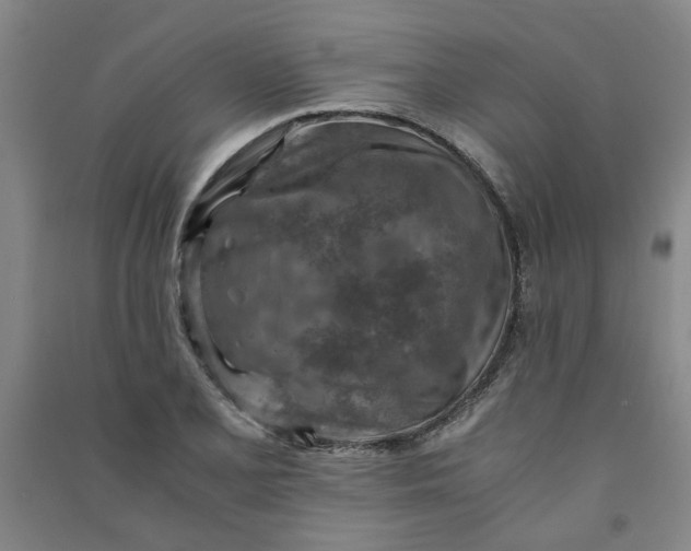 X0000090901077200708201712