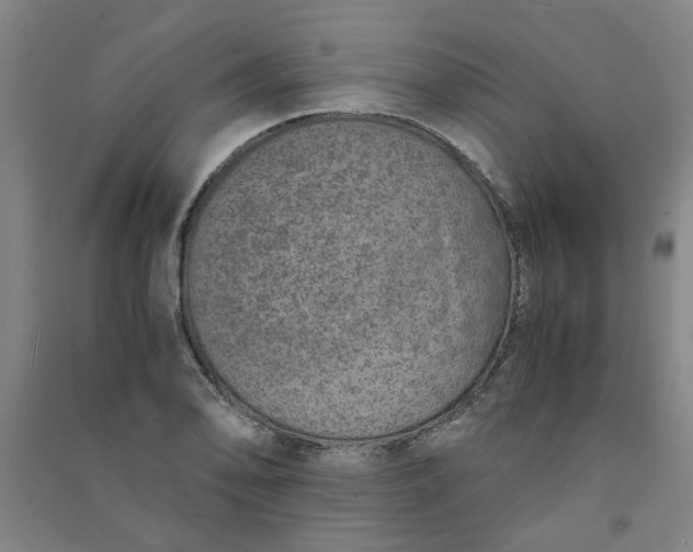 X0000090901078200708201712