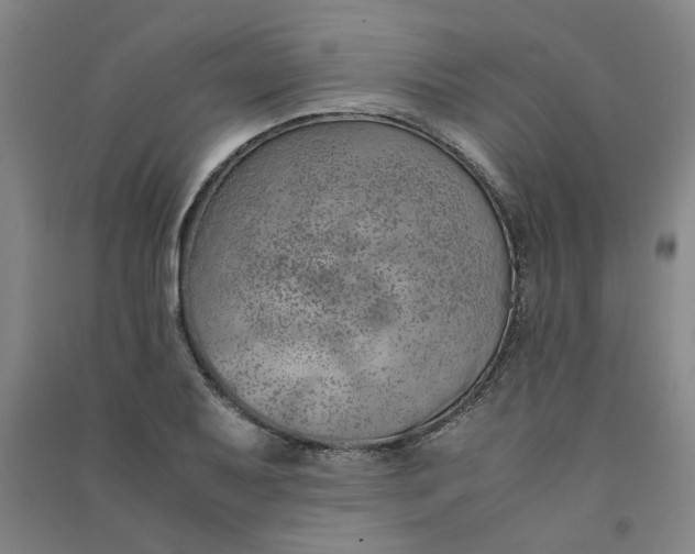 X0000090901079200708201712