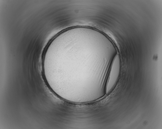 X0000090901080200708201712