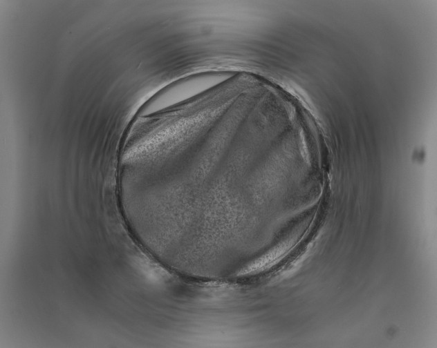 X0000090901081200708201712