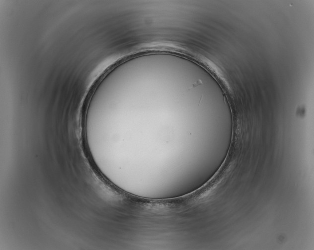 X0000090901082200708201712