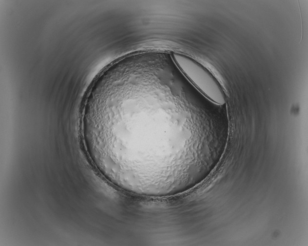 X0000090901083200708201712