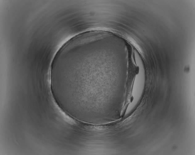 X0000090901084200708201712