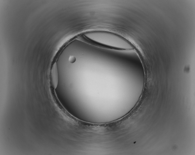 X0000090901085200708201712