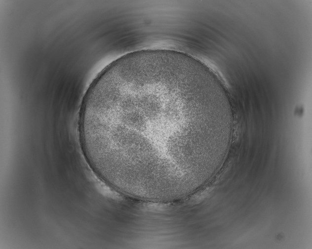 X0000090901086200708201712